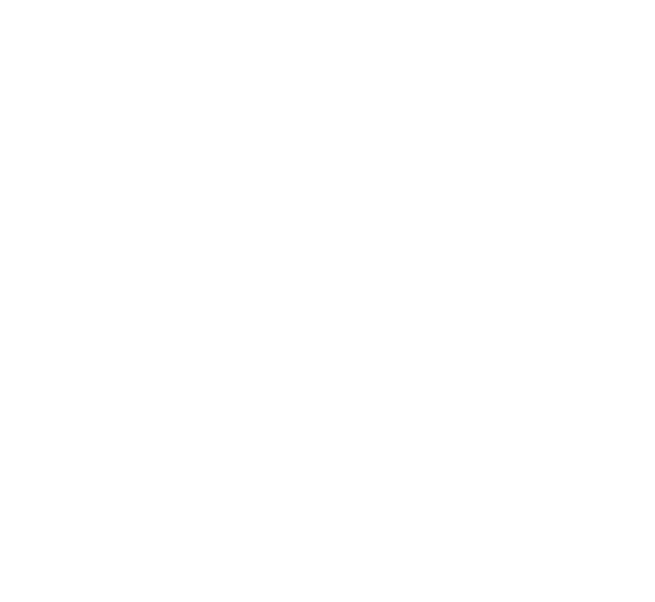 ESX Logo – Car-Hifi bei CAR-AVAN in Freren