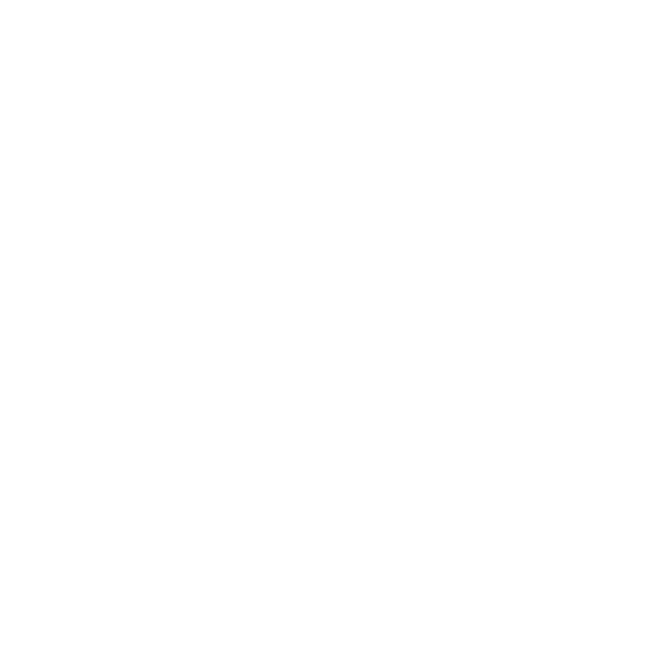 BRAX Logo – Car-Hifi bei CAR-AVAN in Freren
